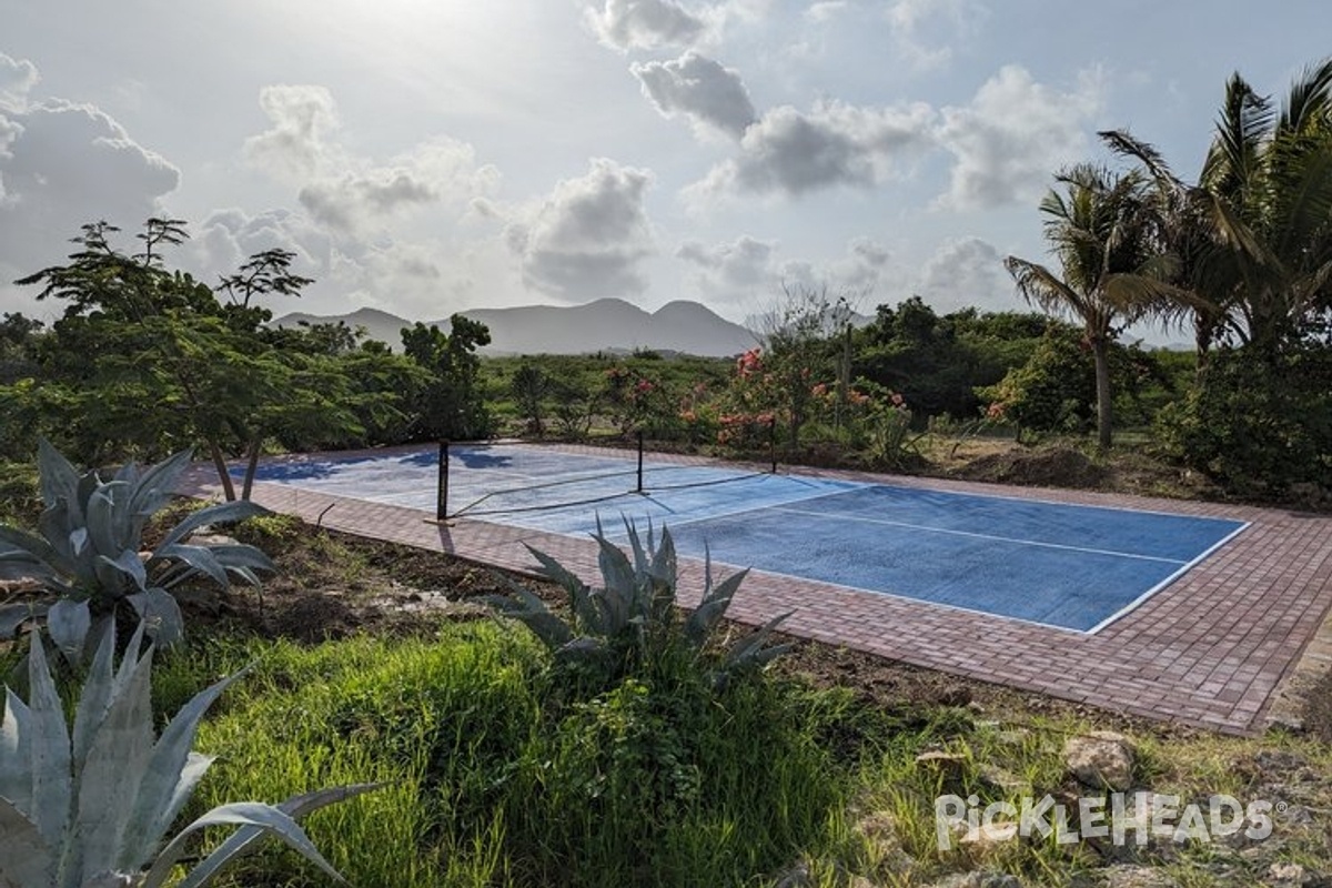 Photo of Pickleball at Cliff Villa